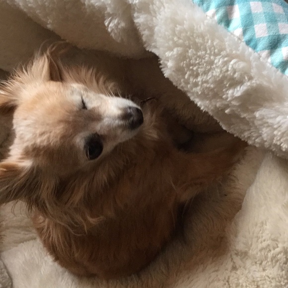 Meet your Posher, Donna - Picture 1 of 1